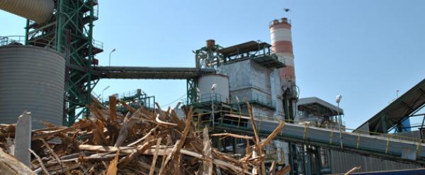 Energia dal legno(Crotone (KR))