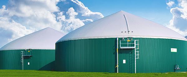 Biogas(Cinto Caomaggiore, Venezia)